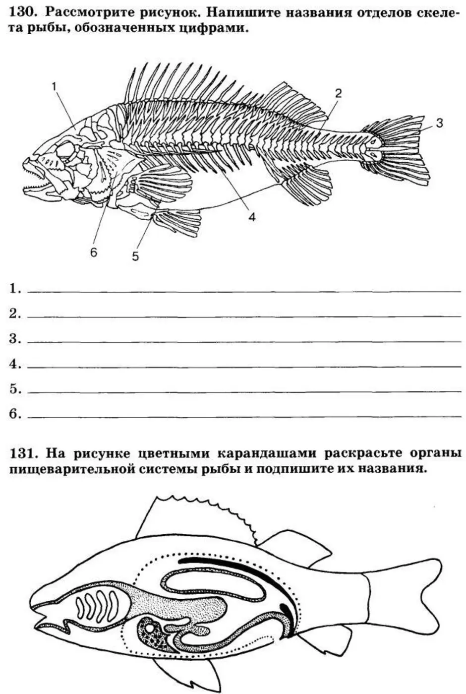 Биология 7 класс параграф рыбы. Внутреннее строение рыбы биология 7. Внутреннее строение рыб задание. Внутреннее строение рыбы 7 класс биология Пасечник. Карточка внутреннее строение рыбы.