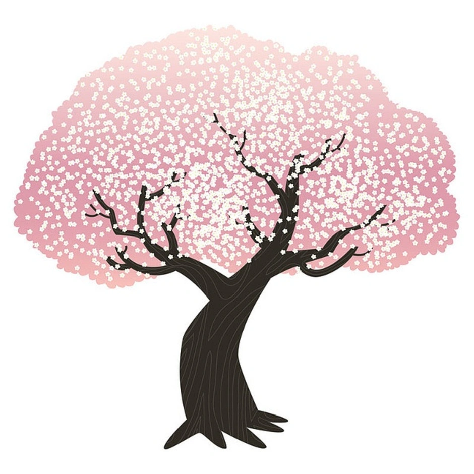 Как нарисовать дерево сакуры. Нарисовать дерево. Цветущее дерево. Сакура дерево. Сакура дерево нарисованное.
