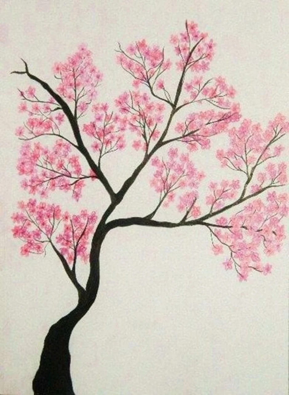Как нарисовать дерево сакуры. Сакура для срисовки. Сакура рисунок. Рисование дерева Сакуры. Дерево Сакура рисунок.