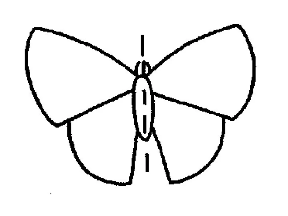 Рисунок бабочки 1 класс. Рисование симметричных форм насекомые. Рисование симметричных форм бабочка. Симметричные насекомые рисунки. Рисование симметричных форм насекомые бабочка.