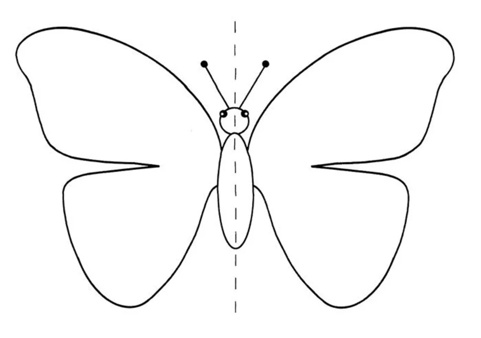 Как нарисовать бабочку симметрично