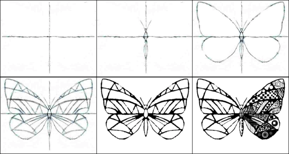Как нарисовать бабочку или стрекозу