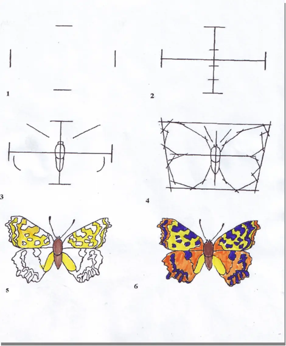 Бабочка рисунок схема. Этапы рисования бабочки. Симметричное рисование бабочки. Пошаговое рисование бабочки. Симметрия в рисовании.