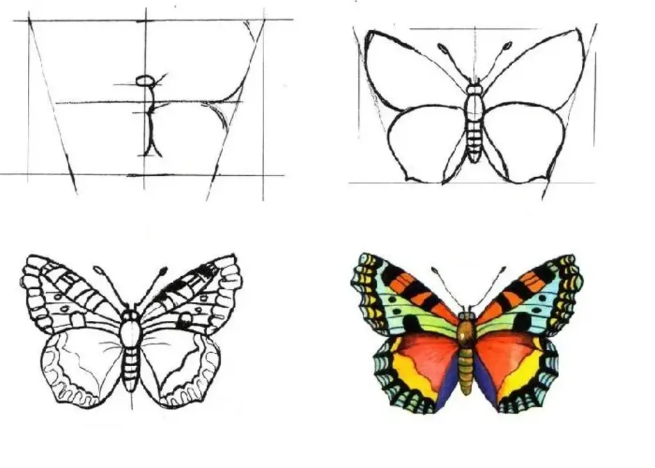 Как нарисовать бабочку симметрично