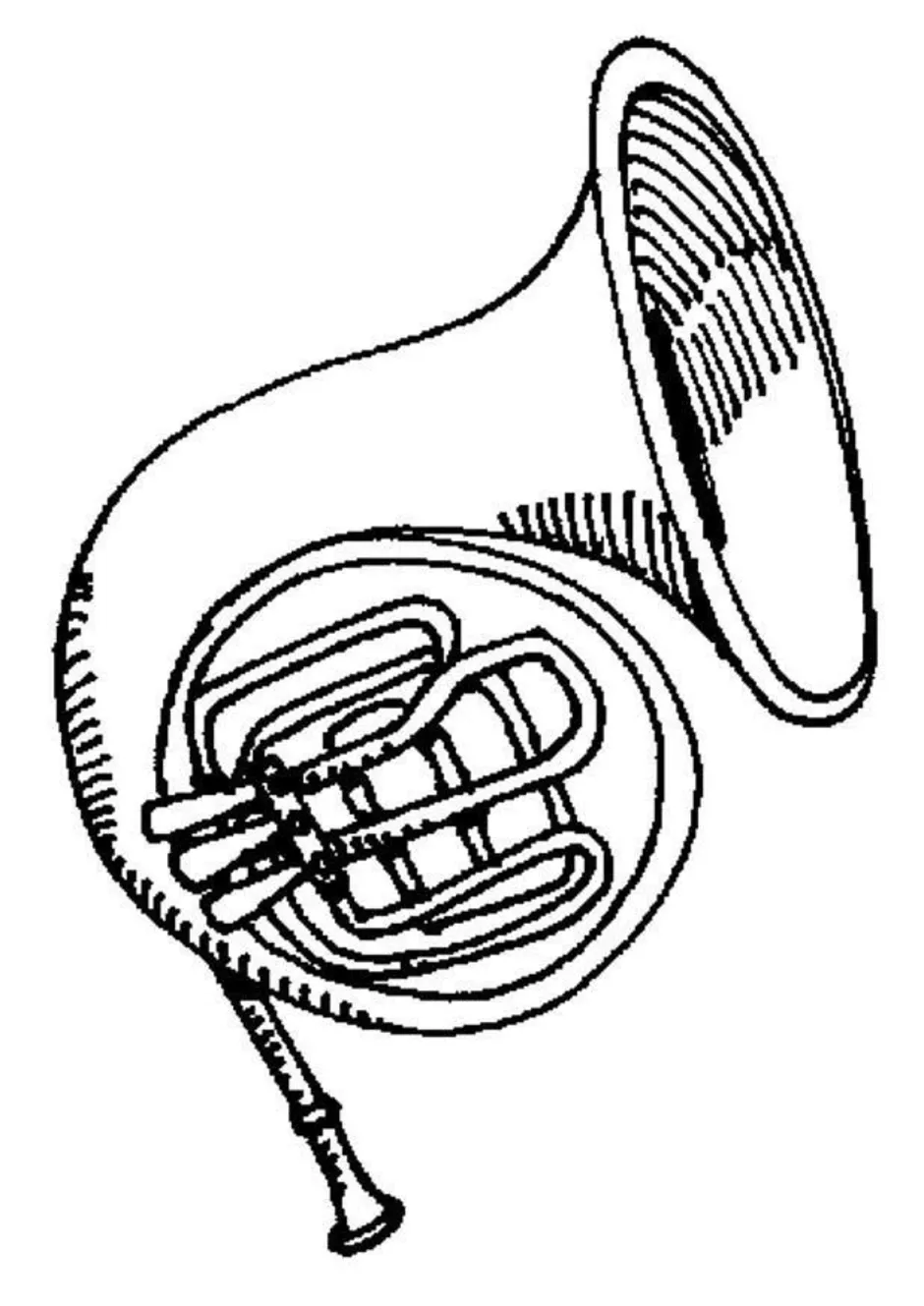 Музыкальный инструмент валторна рисунок