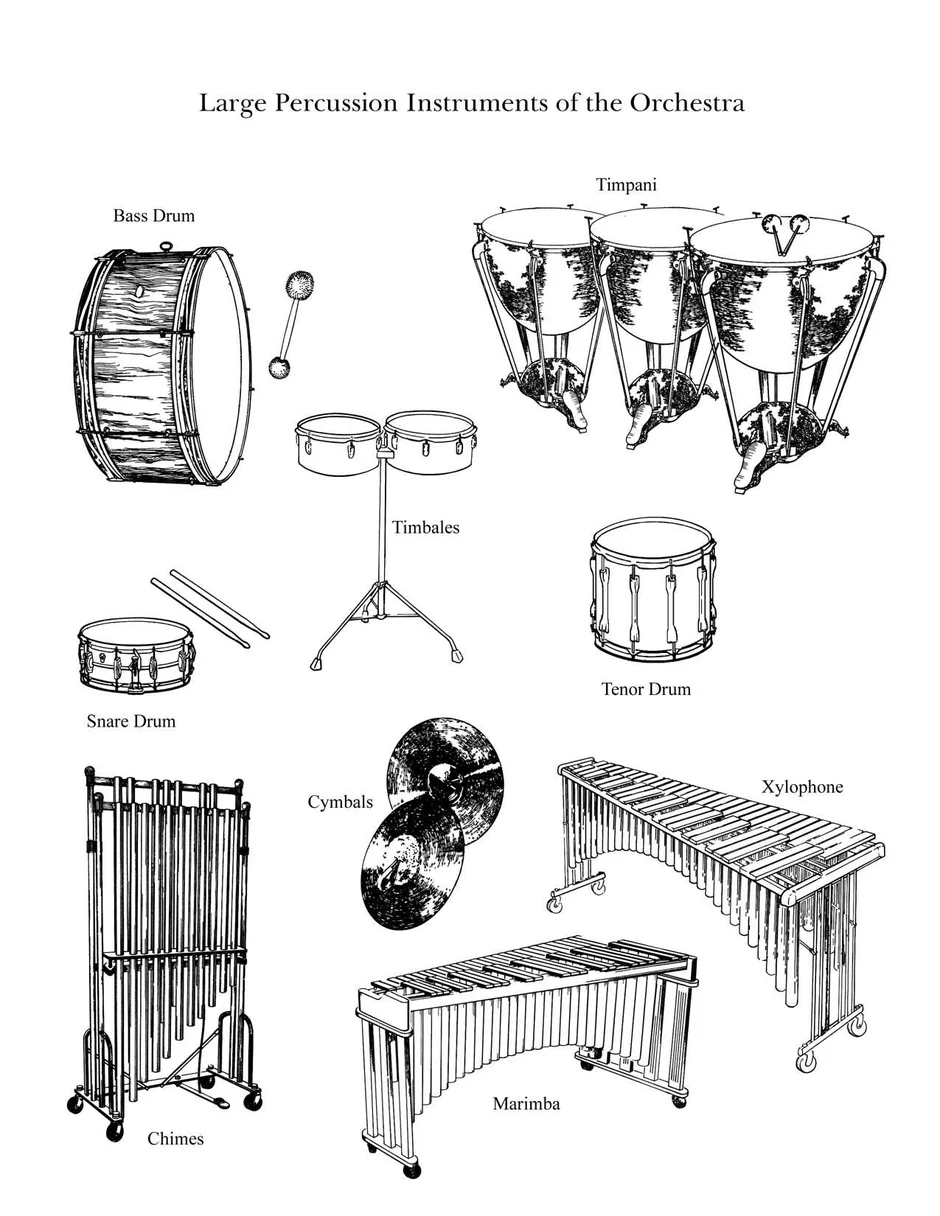 Ударные музыкальные инструменты картинки