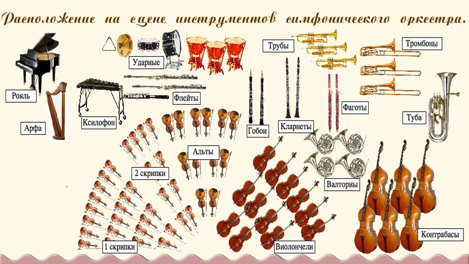 Инструменты симфонического оркестра фото