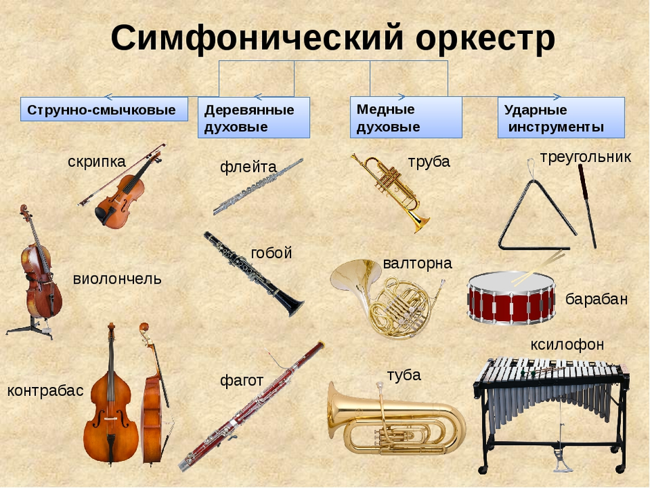 Схема расположения музыкальных инструментов в симфоническом оркестре