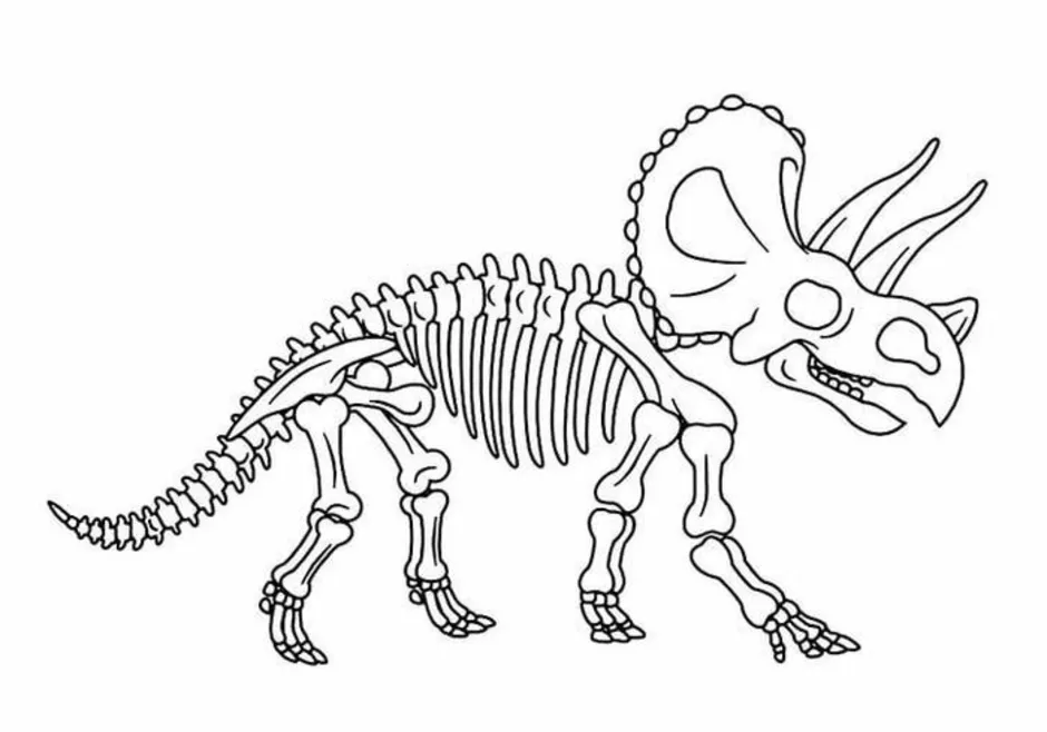 Как нарисовать скелет динозавра видео