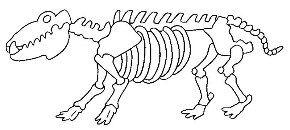 Как нарисовать скелет динозавра в музее