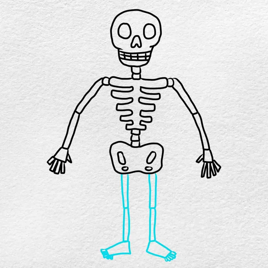 Скелет человека рисунок для детей 2 класса