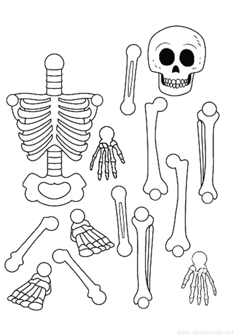 Скелет детский рисунок