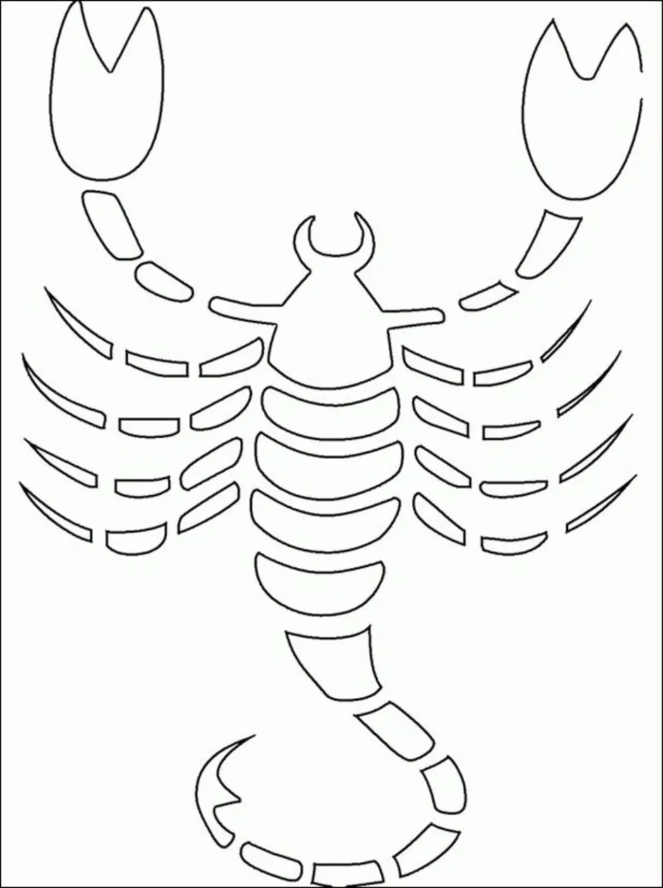 Чертеж скорпиона. Трафарет скорпиона для рисования. Скорпион контурный рисунок. Трафарет скорпиона для броши. Легкий трафарет Скорпион.