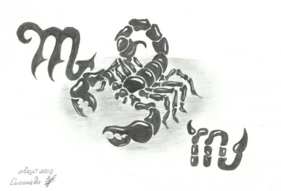 Скорпион с 21 по 27 августа. Скорпион карандашом. Скорпион для срисовки. Скорпион рисунок. Скорпион символ.