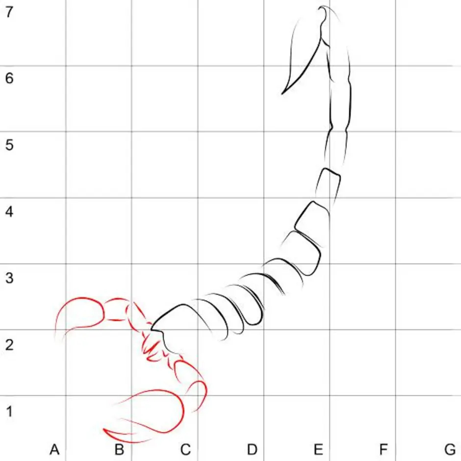 Как нарисовать скорпиона легко