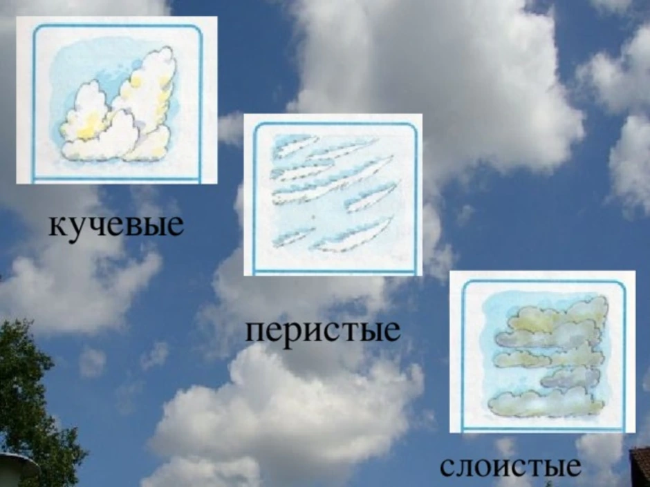 Определите какие облака перистые слоистые кучевые изображены на рисунке