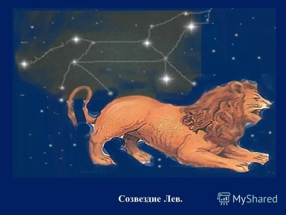 Созвездия льва на небе окружающий мир. Лев (Созвездие) созвездия. Зодиакальное Созвездие Лев. Созвездие Льва окружающий мир 1 класс. Созвездие Льва звезды.