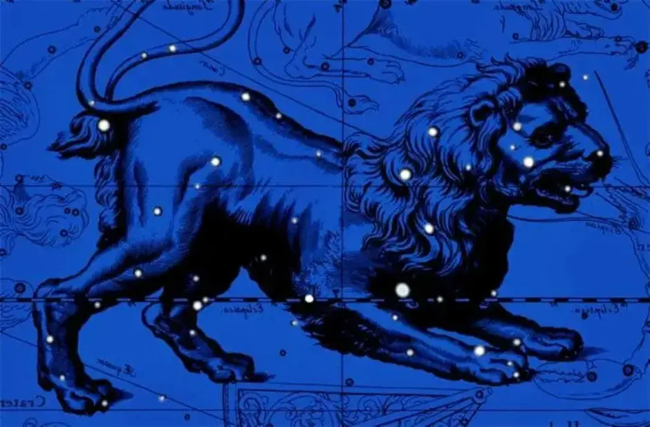 Созвездие льва и девы. Зодиакальное Созвездие Лев. Созвездие Лев гевелий. Лев (Созвездие) созвездия. Созвездие Лев астеризм.