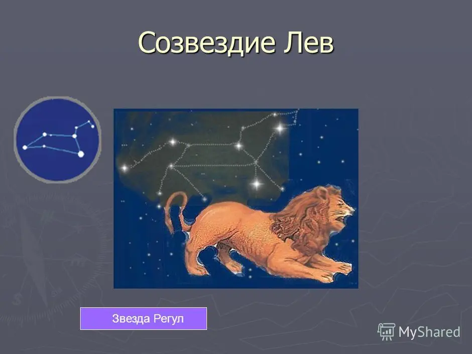 Созвездие лев проект