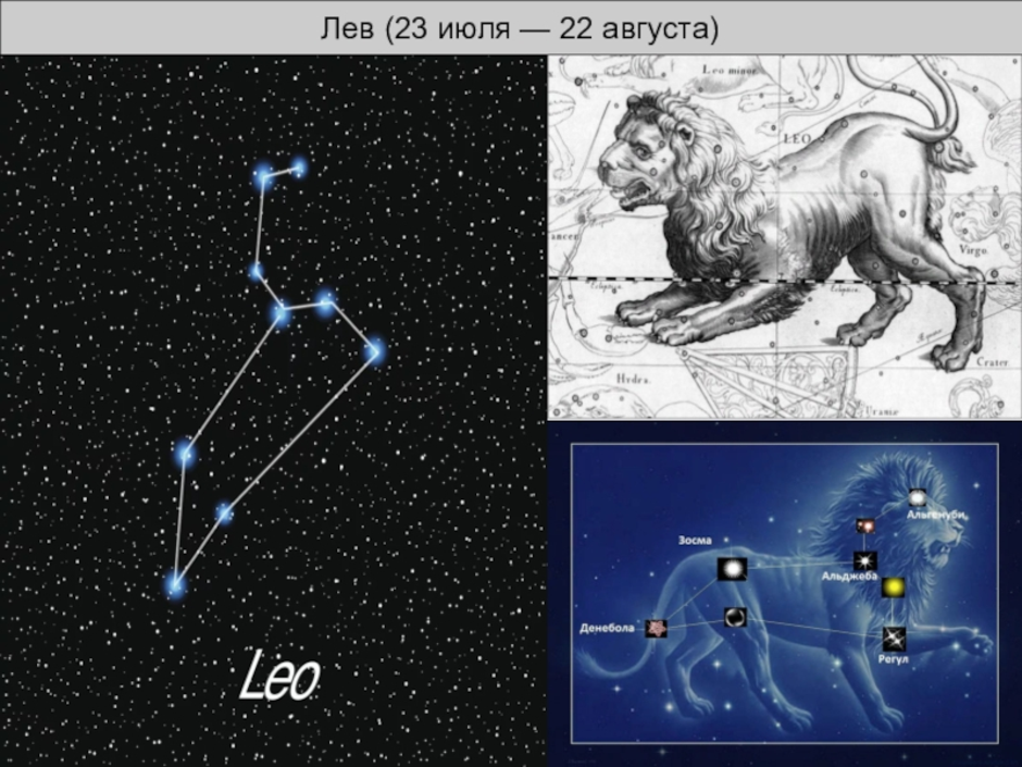 Созвездие льва окружающий мир 2 класс. Созвездие Льва. Созвездие Лев схема. Созвездия 2 класс. Созвездие Льва на карте звездного неба.