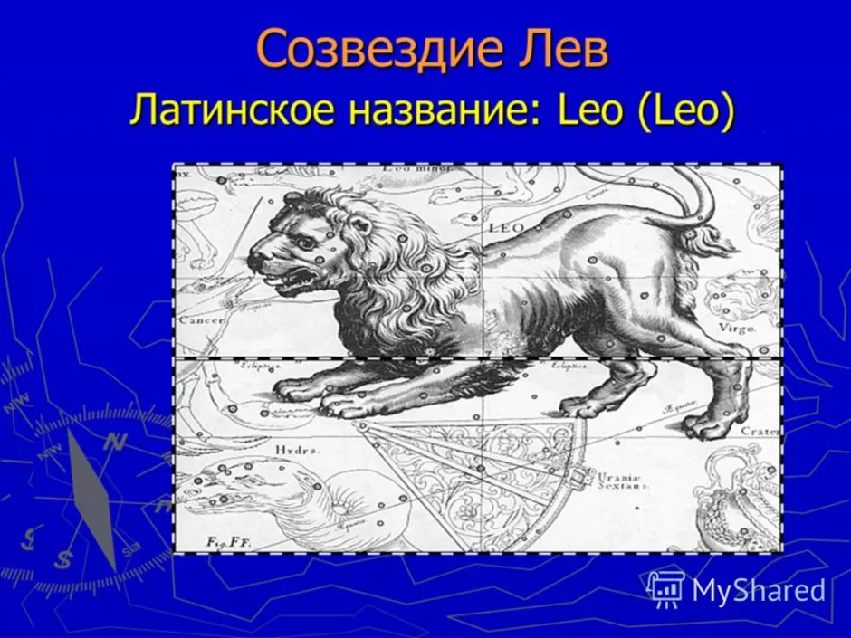 Находится малый лев. Созвездие Льва. Созвездие Лев латинское название. Созвездие Льва проект. Созвездие Льва происхождение.