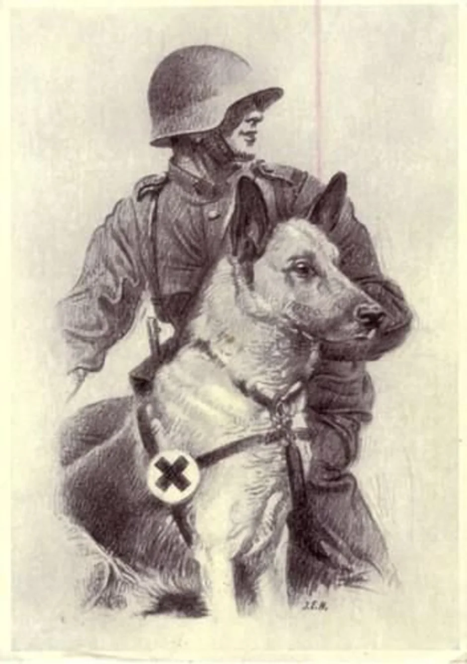 Животные в великой отечественной войне рисунок. Боевые собаки. Собаки на войне. Военная собака рисунок. Собака на войне рисунок.