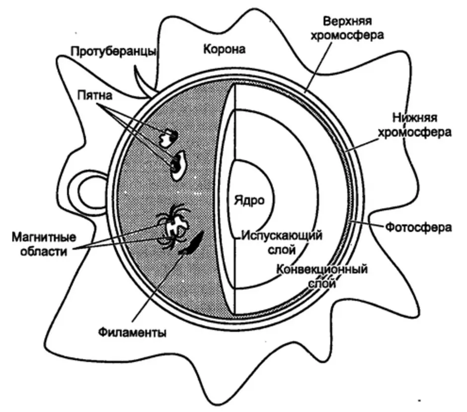 Схема строения солнца укажите названия внутренних областей и слоев атмосферы солнца