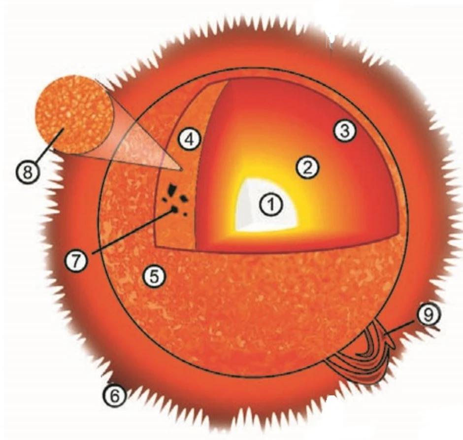 Внутреннее строение солнца рисунок