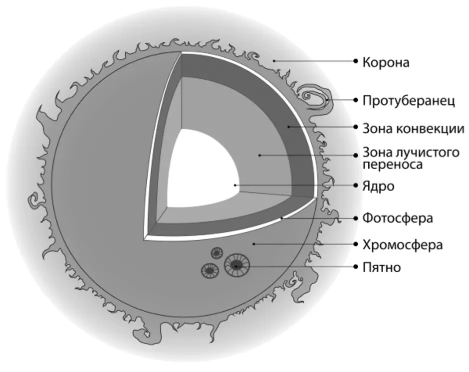 Сделайте рисунок солнца и укажите корону хромосфера фотосфера зона конвекции и ядро