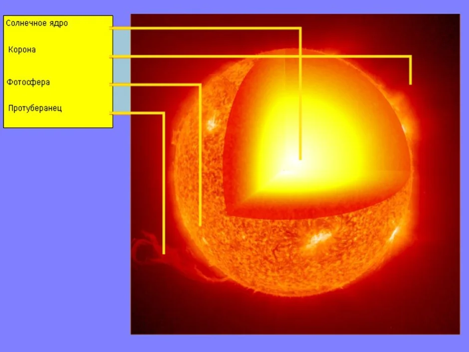 Внутренний состав солнца. Внутренне строение солнца ядро. Внутреннее строение солнца Фотосфера. Строение солнца Фотосфера хромосфера корона. Состав ядра солнца.