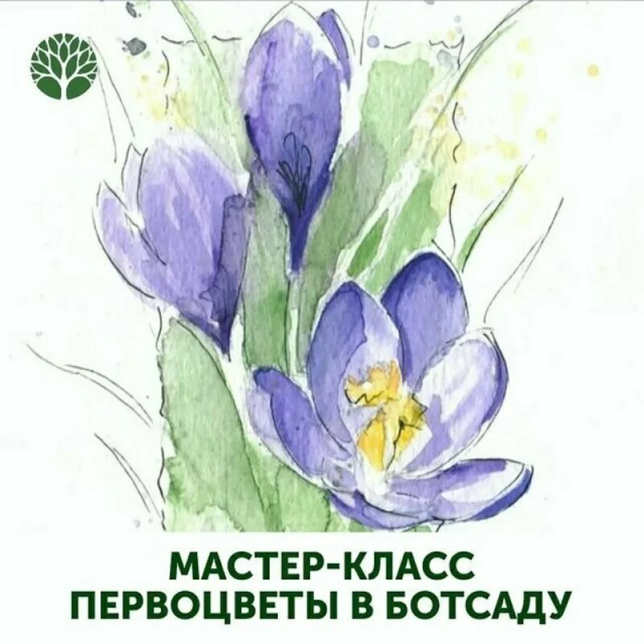 Рисунок первоцветов 3 класс