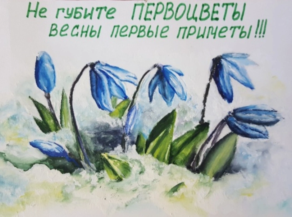 Рисунки береги первоцветы