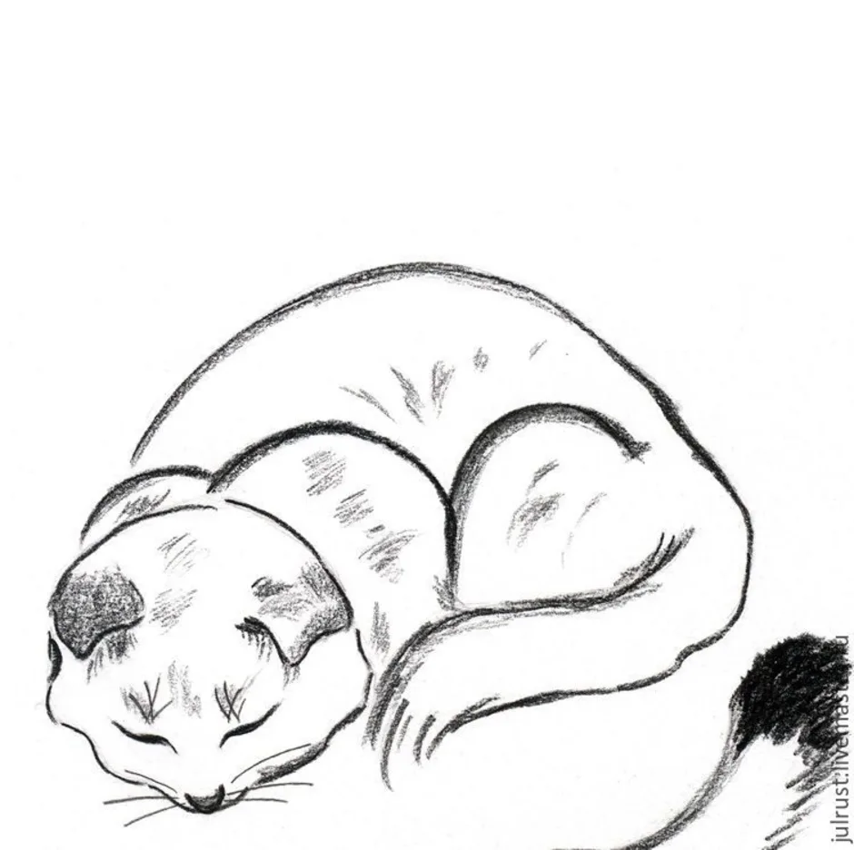 Как нарисовать кота дремота из 3. Кошка рисунок карандашом. Рисунки котят для срисовки. Рисунок кошки для срисовки. Рисунок кошки для срисовки легкие.