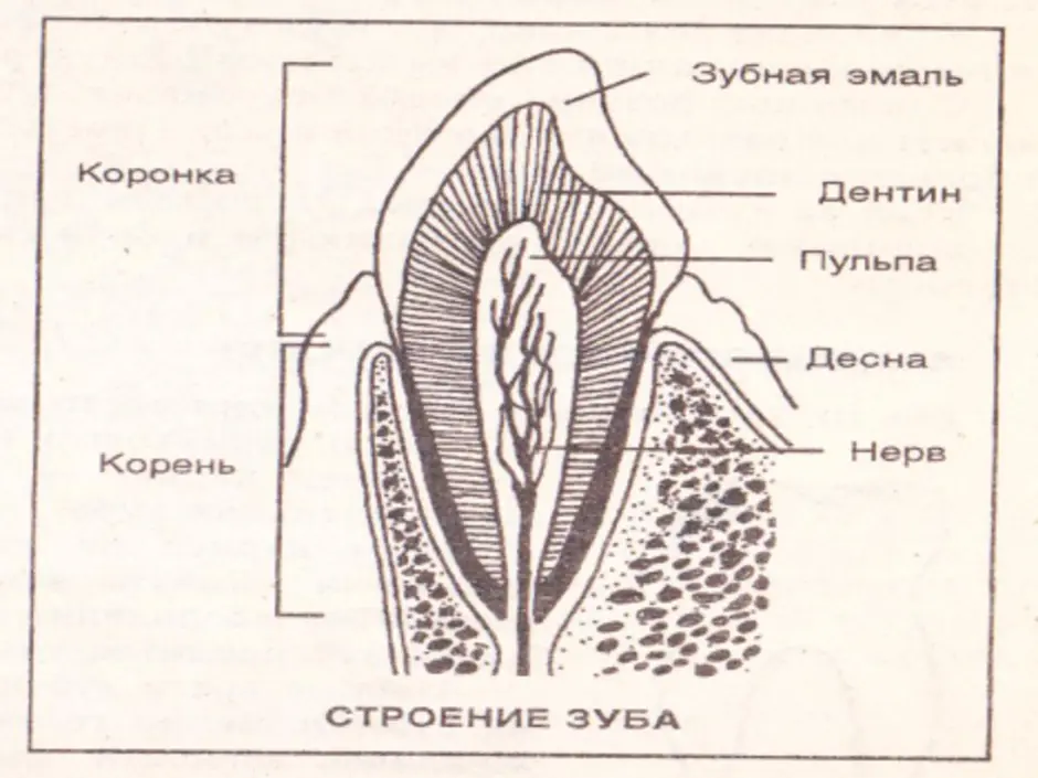 Строение 8