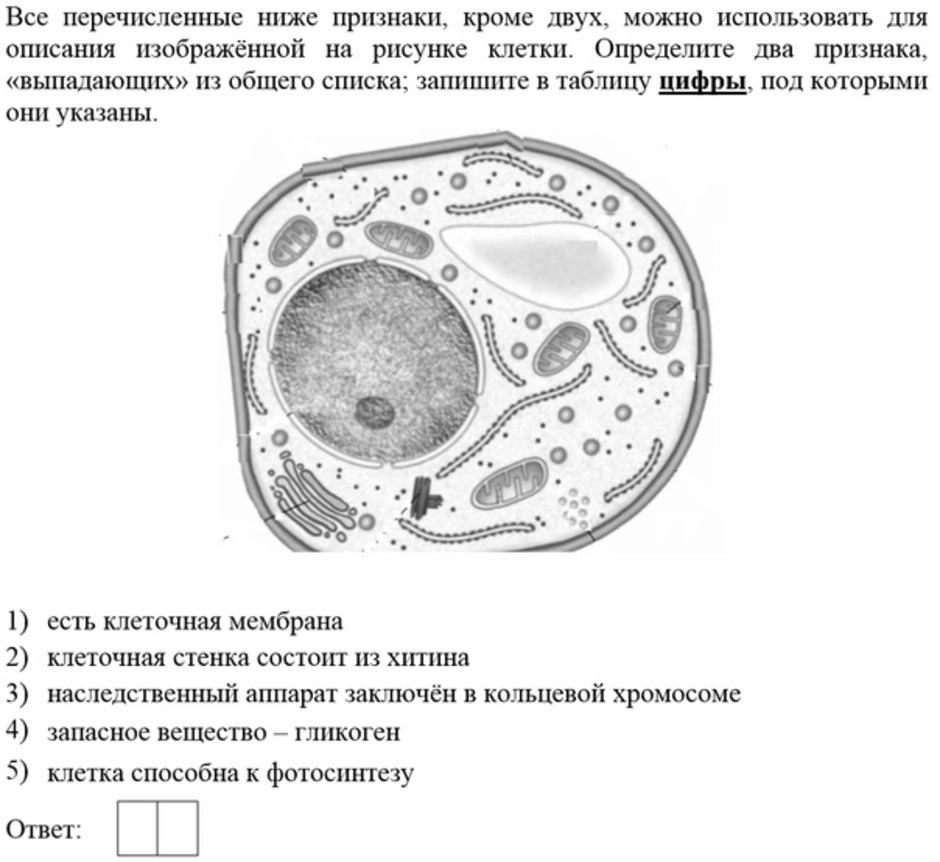 Для грибной клетки характерна оболочка из хитина