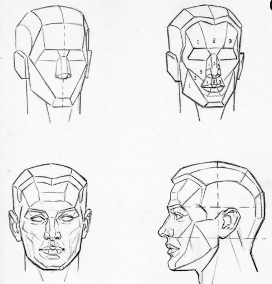 Рисунок построение головы человека