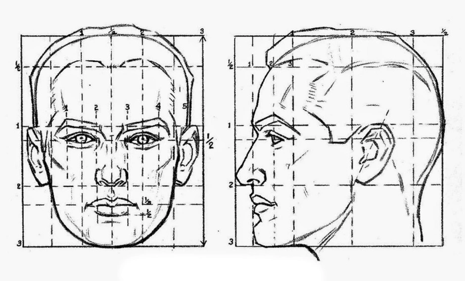 Схема построения лица человека для рисования
