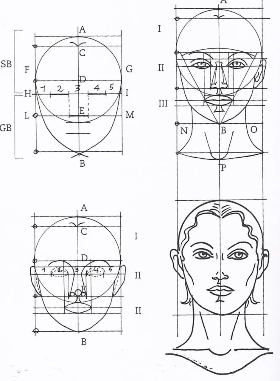 Рисунок головы человека пропорции головы