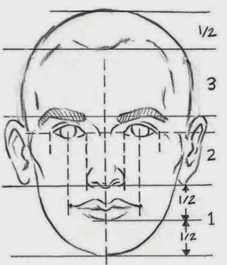 Рисунок человека в анфас