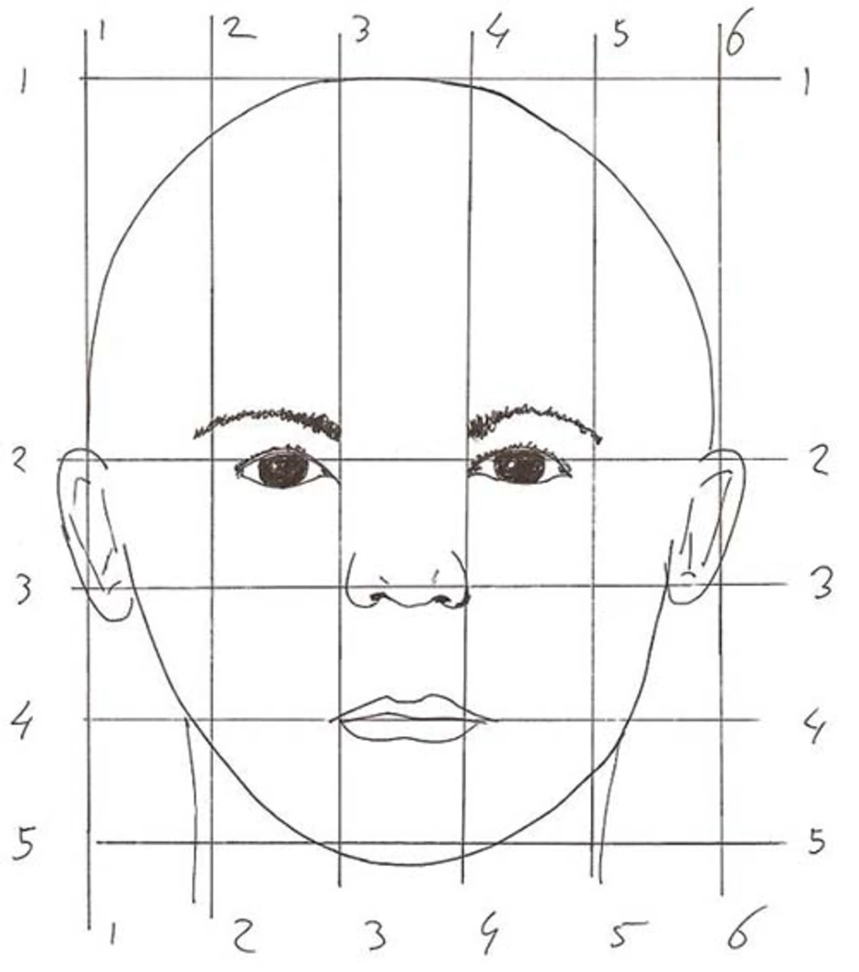 Рисунок головы человека пропорции головы