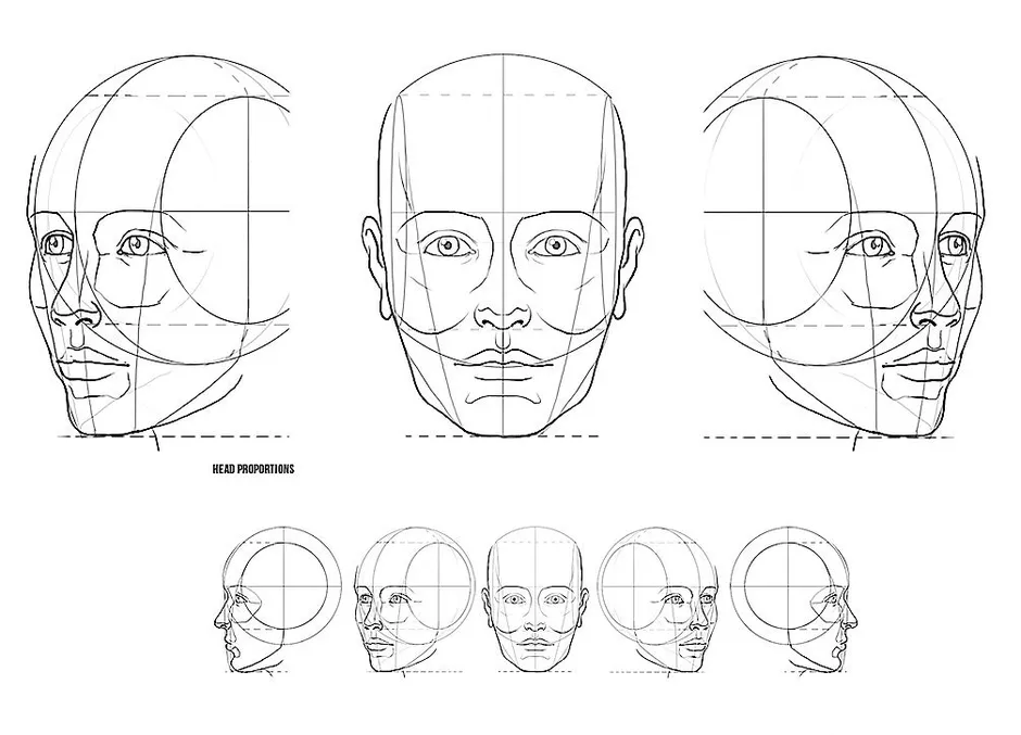 Рисунок головы человека пропорции головы