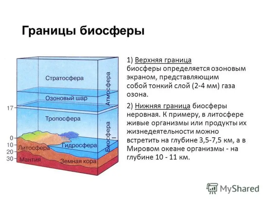 Верхняя граница в атмосфере определяется. Биосфера состав и строение. Границы биосферы. Нижняя граница биосферы. Granisi biosferi.