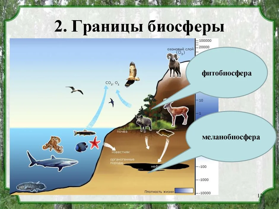 Нарисовать границы биосферы