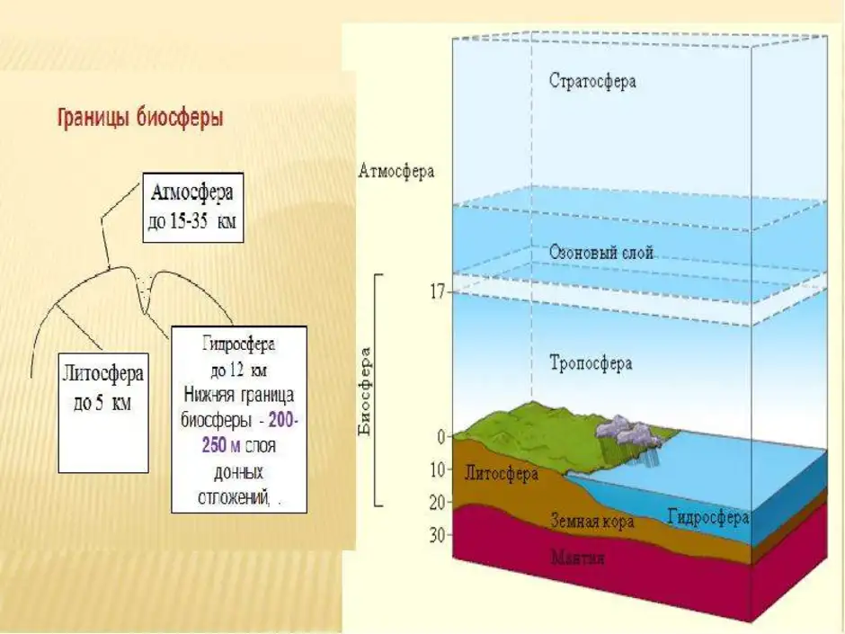 Границы биосферы картинка