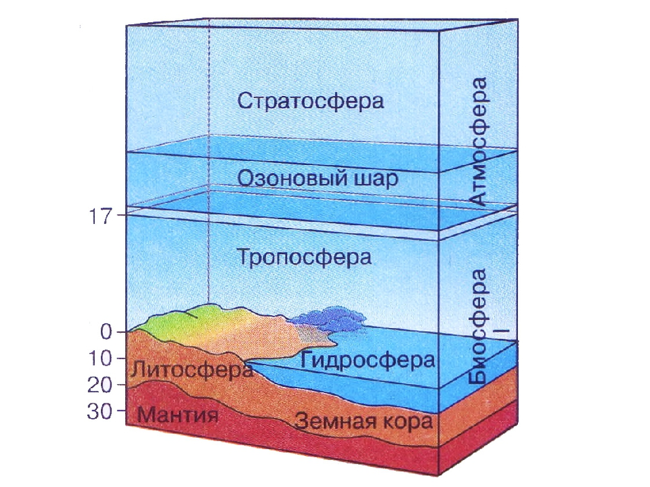 Структура биосферы картинки