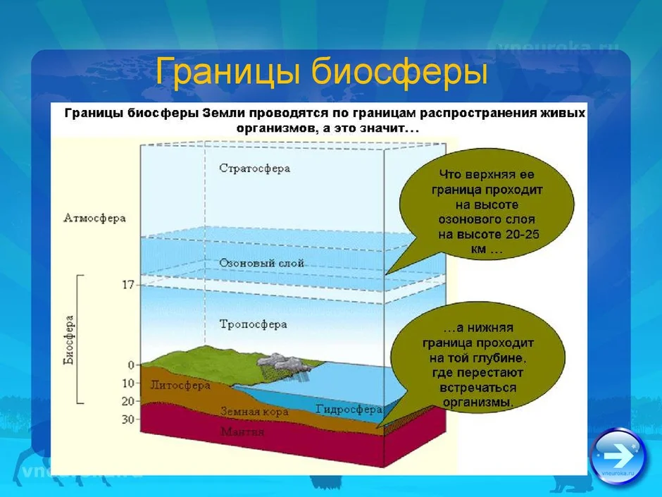 Нарисуйте схему границы биосферы покажите штриховкой область земли в которой существует