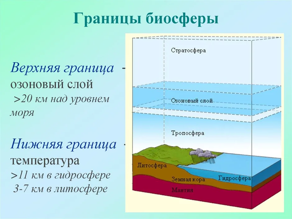 Схема границ биосферы 6 класс