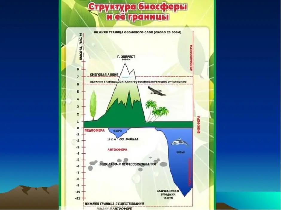 Нарисовать границы биосферы