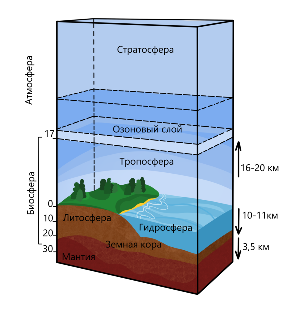 Границы биосферы атмосфера гидросфера литосфера. Биосфера строение оболочки. Строение земли атмосфера гидросфера литосфера. Границы биосферы 9 класс биология. Воды нижняя граница
