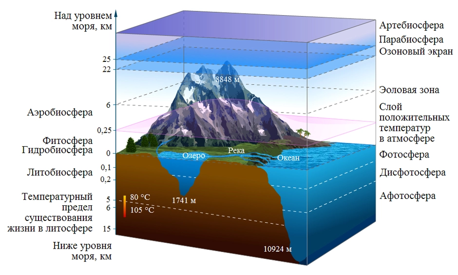 Биосфера земли схема